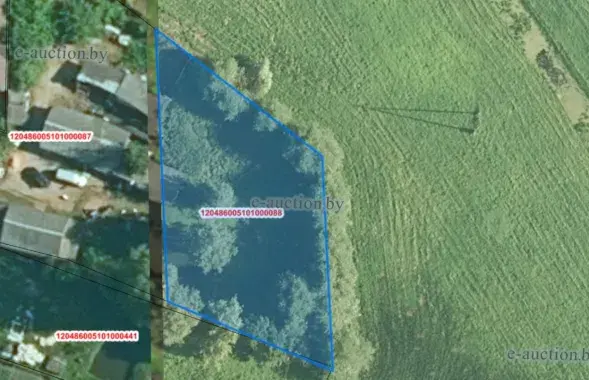Участок, который продают на аукционе
