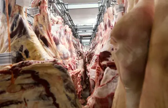 Фото носит иллюстративный характер
