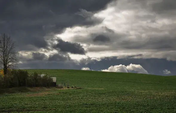 Погода на следующую неделю
