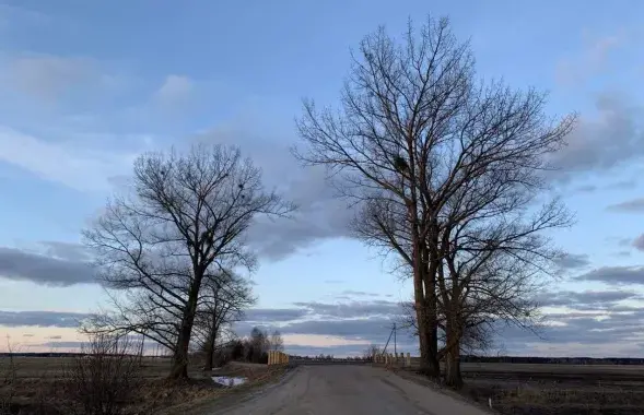 Весна, иллюстративное фото
