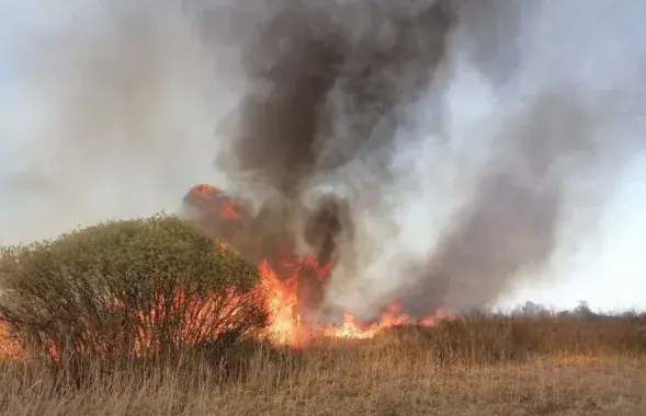 Пажар у Столінскім раёне
