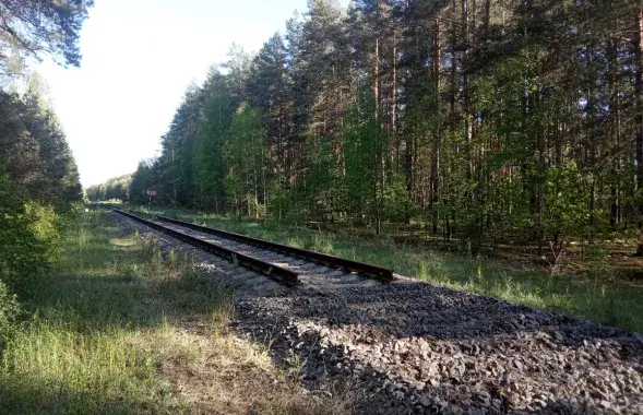 Под Гродно разбирают ведущие в Литву железнодорожные пути
