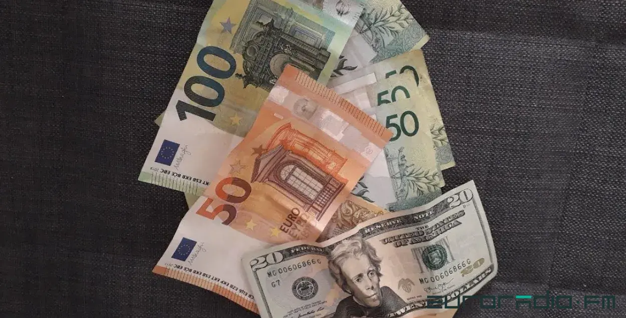 В Беларуси евро исключили из корзины иностранных валют / Еврорадио
