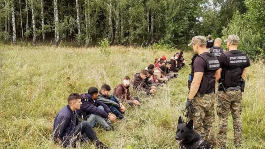 За тры дні польскія памежнікі затрымалі 349 мігрантаў, якія прыйшлі з Беларусі