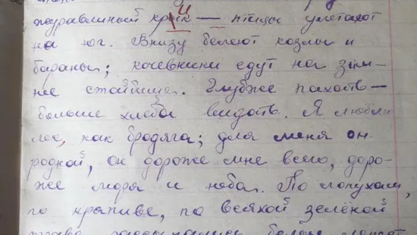 Пазняк падпісаў у школе сшытак па-беларуску. Што зрабіў настаўнік (фота)