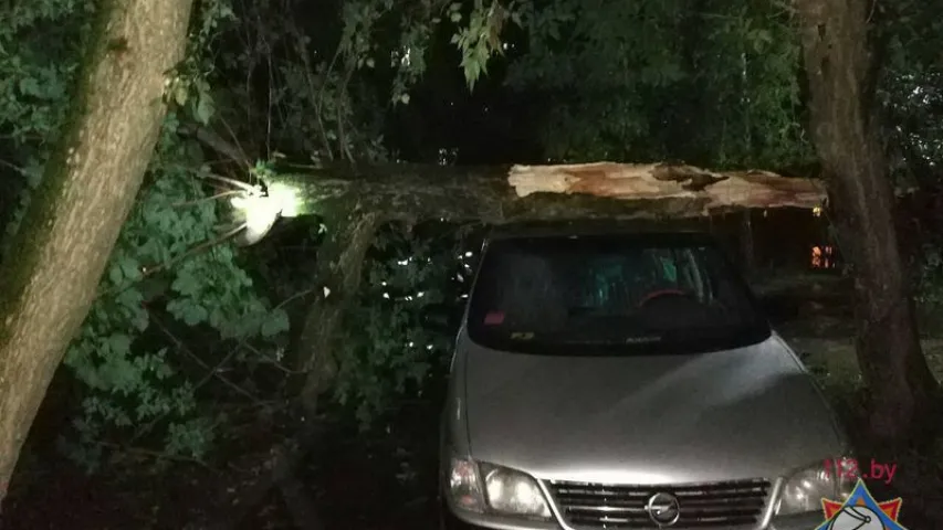 Наступствы непагадзі ў Мінску: упалі 25 дрэваў, пашкоджаны 17 машын. Фота, відэа