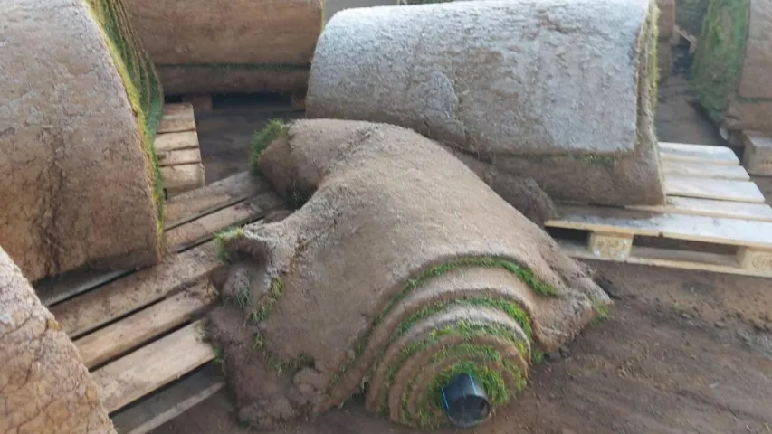 У Баранавічах вандалы пашкодзілі спецтэхніку і газон на стадыёне