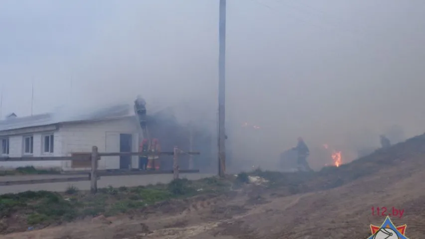 У Баранавіцкім і Смалявіцкім раёнах здарыліся пажары ў цялятніках (фота)