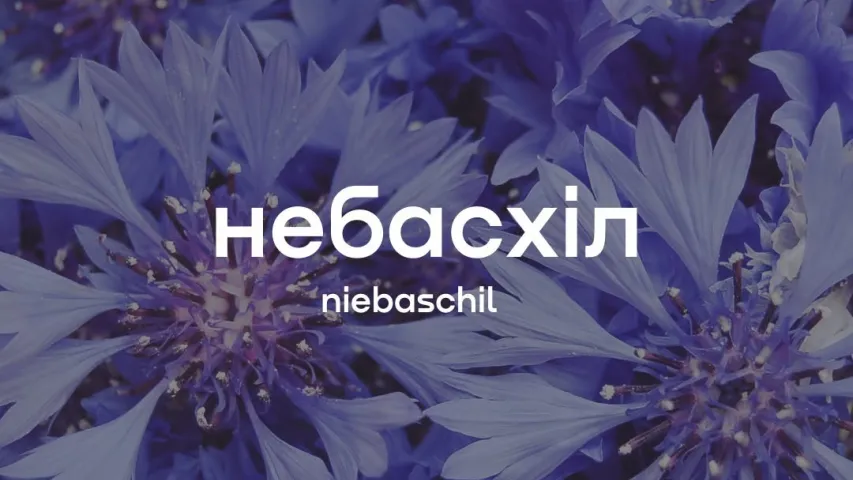 Небасхіл - значение