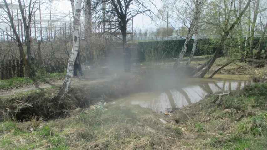 У Магілёве злавілі бабра, які вырашыў пасяліцца ў горадзе (фота)