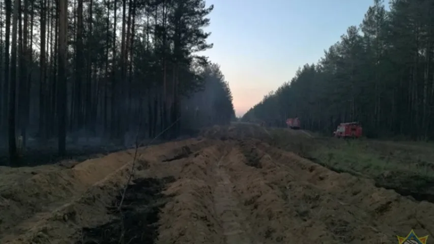 У Баранавіцкім раёне восем гадзінаў тушылі лясны пажар