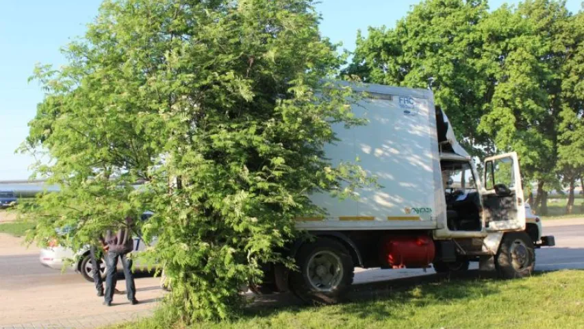 У Гродне грузавік збіў траіх чалавек на пешаходным пераходзе (фота)