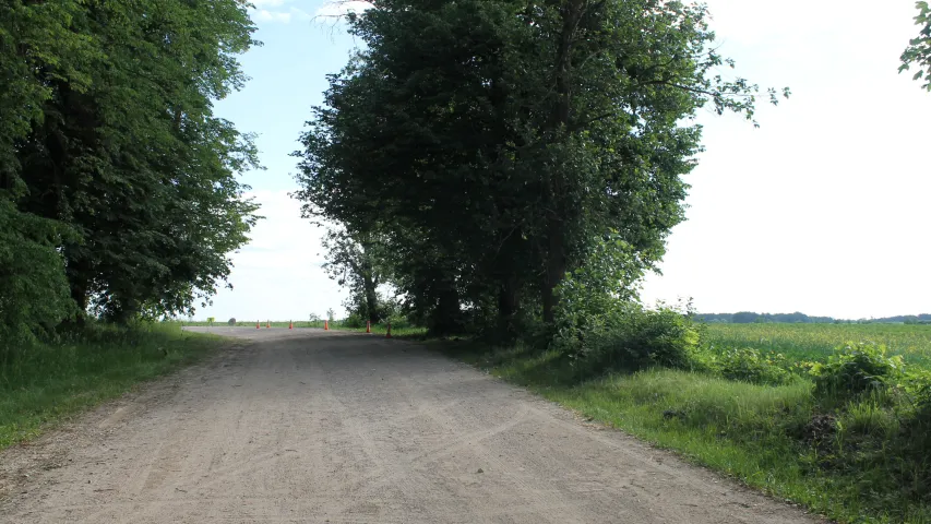 У Шчучынскім раёне загінуў матацыкліст — сутыкнуўся з дрэвам