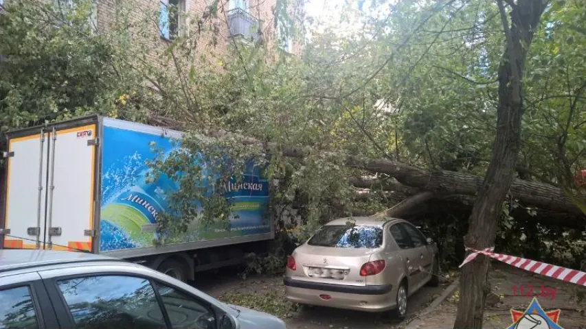 У Мінску ад моцнага ветру дрэвы падалі на аўтамабілі (фота)