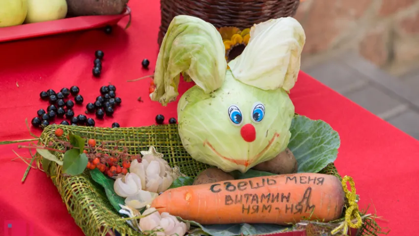 У Гомелі прайшоў экалагічны конкурс “Зялёны вітамін” (фота)