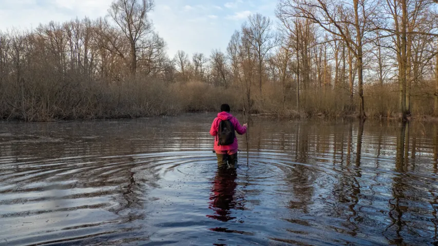 Половодье Припяти — на красивых фото