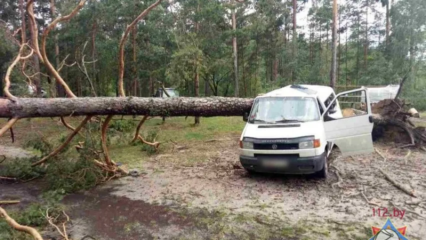 У Вілейскім раёне на мікрааўтобус упала дрэва, загінула дзіця