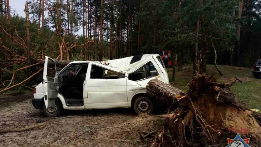 Падрабязнасці трагедыі ў лесе пад Вілейкай, дзе дрэва ўпала на мікрааўтобус