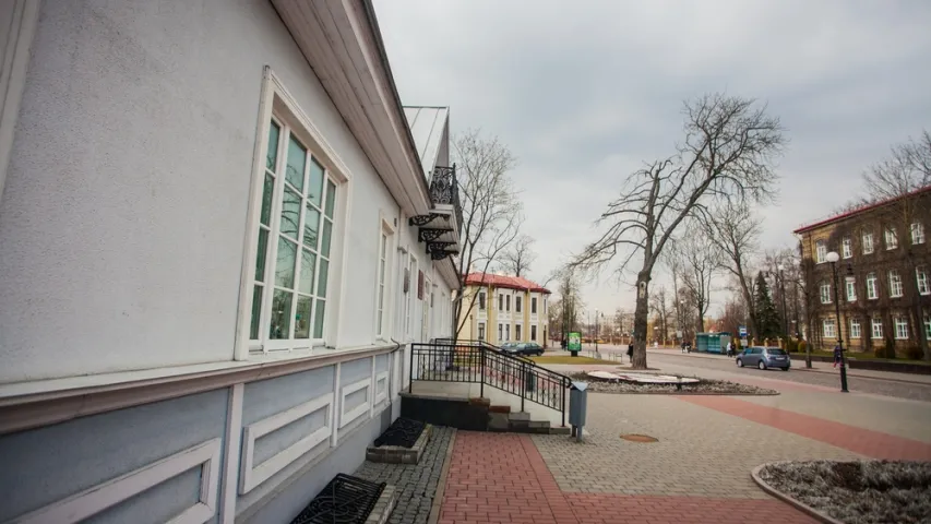 У Гродне ссеклі каштан Элізы Ажэшкі. Фотарэпартаж