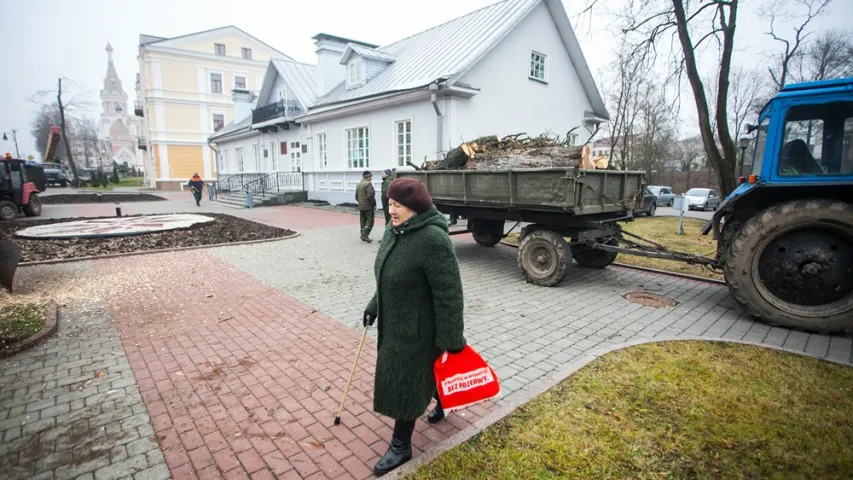 У Гродне ссеклі каштан Элізы Ажэшкі. Фотарэпартаж