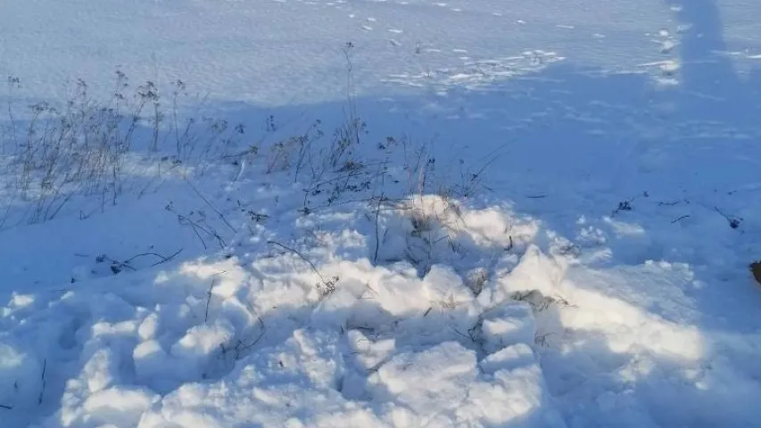 У Чавускім раёне выратавалі 7-гадовую дзяўчынку, якая ўпала ў калодзеж