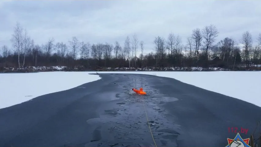 У Гарадоцкім раёне ратавальнікі вызвалілі лебедзя, які ўмёрз у лёд