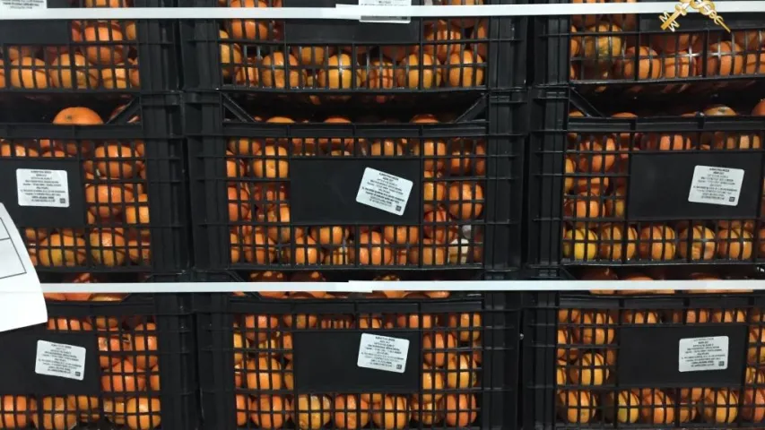Беларуская мытня спыніла 37 тон мандарынаў