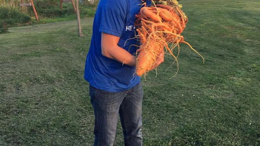 Амерыканскі фермер трапіў у Кнігу Гінэса: вырасціў моркву вагой больш за 10 кг