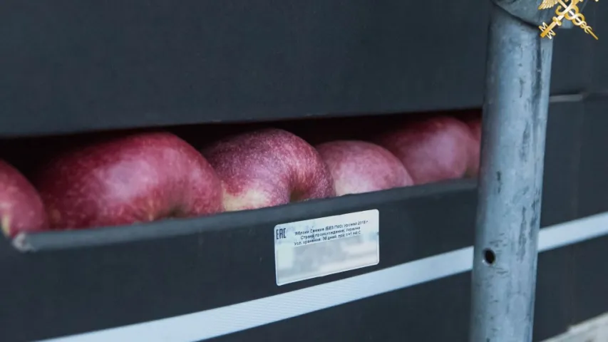 38 тон "санкцыйных" яблык везлі ў Беларусь пад выглядам італьянскіх цукерак