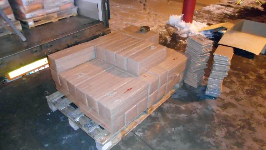 Віцебскія мытнікі затрымалі на мяжы больш за 350 кг гашышу