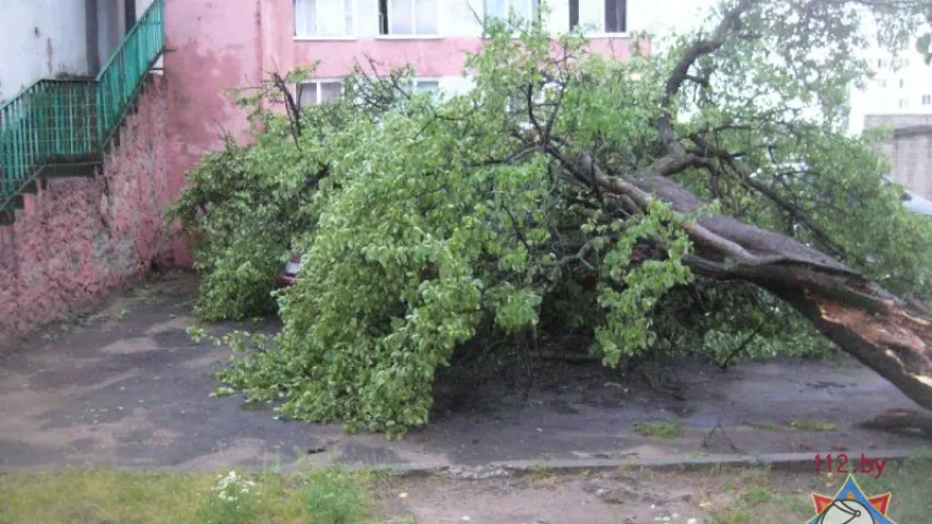 З-за шквалістага ветру без святла засталіся 262 населеныя пункты Беларусі