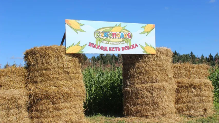 У Беларусі адкрылі першы кукурузны лабірынт (фота, відэа)