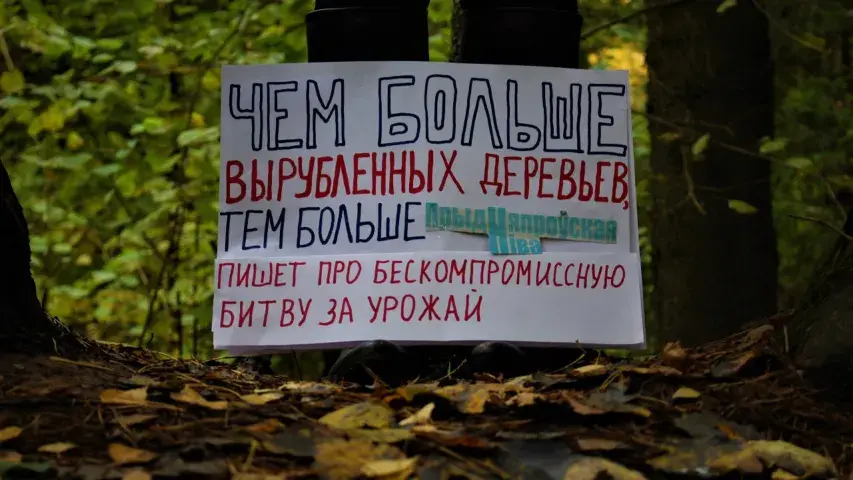 В Могилеве красиво протестовали против вырубки деревьев (фото)