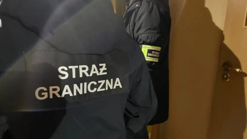 Затрыманні арганізатараў нелегальнай міграцыі / strazgraniczna.pl