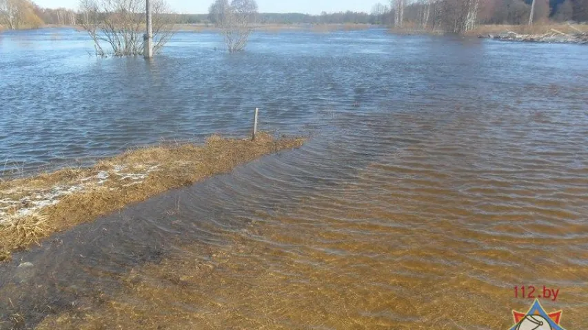 У Чавускім раёне адбылося падтапленне моста і дарогі (фота)