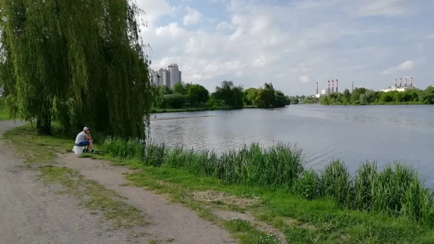 В Минске из Свислочи убрали вонючую субстанцию, теперь на её месте плавают утята
