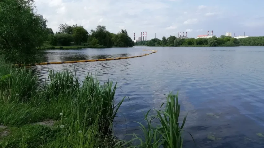 В Минске из Свислочи убрали вонючую субстанцию, теперь на её месте плавают утята