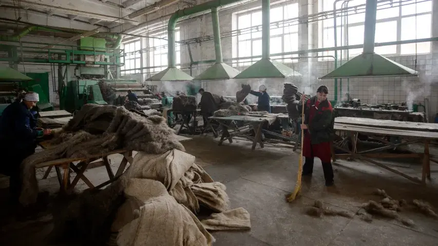 Войлок, пар и скорость: единственная в Беларуси фабрика, где делают валенки