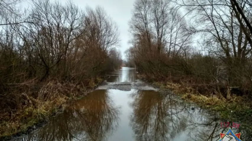 Паводка на Пцічы затапіла ўчастак дарогі ў Петрыкаўскім раёне 
