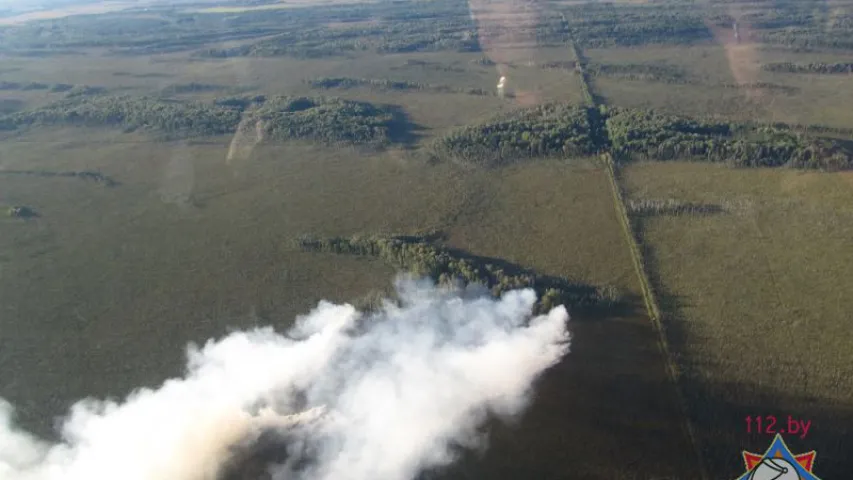 На Гомельшчыне ратавальнікі змагаюцца з буйным лясным пажарам (фота)